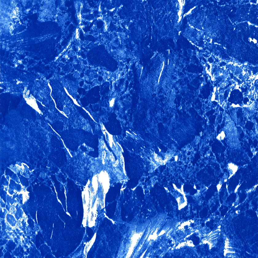 Blue Marble